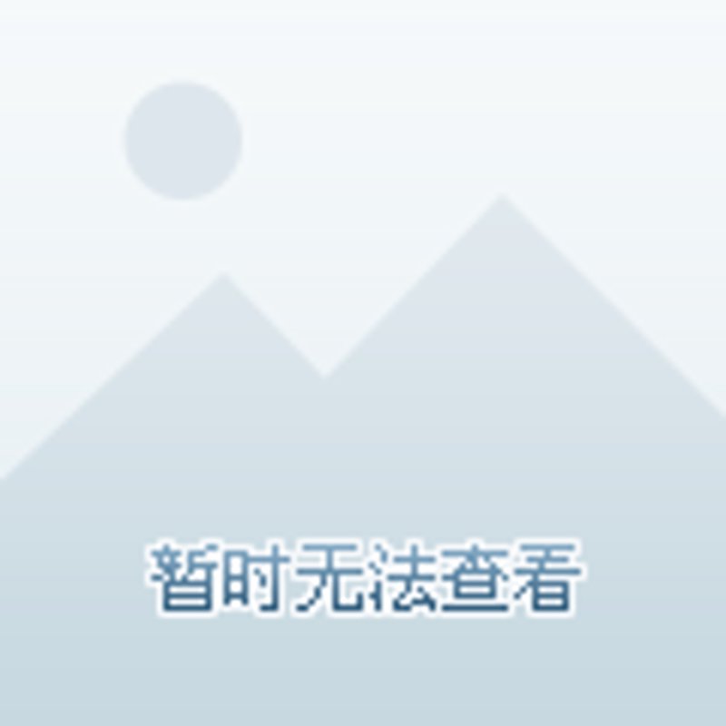 手机配件市场动态：潮流与创新的融合